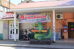 Аквариум в Николаевке